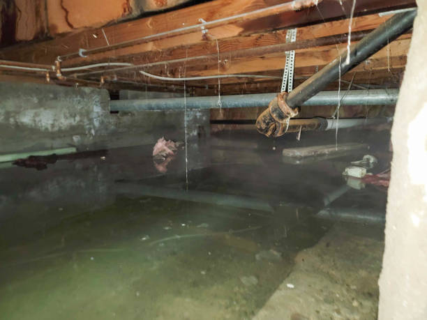 Best Water damage cleanup near me  in Urbandale, IA