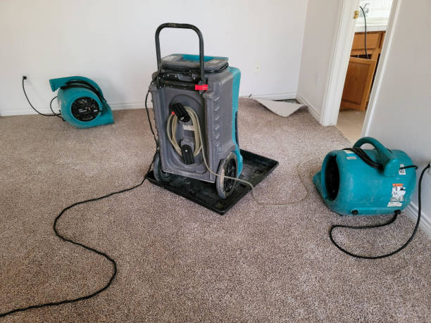 Best Water damage restoration insurance claims  in Urbandale, IA