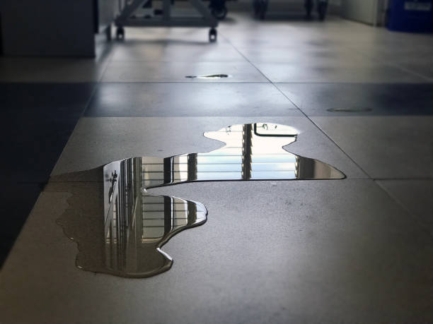 Best Flood restoration services  in Urbandale, IA