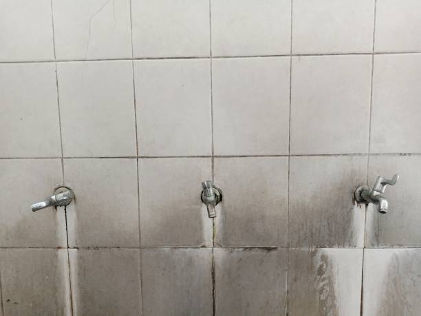 Best Ceiling water damage repair  in Urbandale, IA