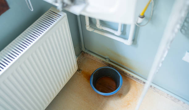 Best Basement water damage restoration  in Urbandale, IA