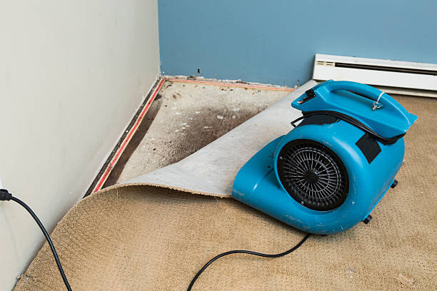 Best Professional water damage repair  in Urbandale, IA